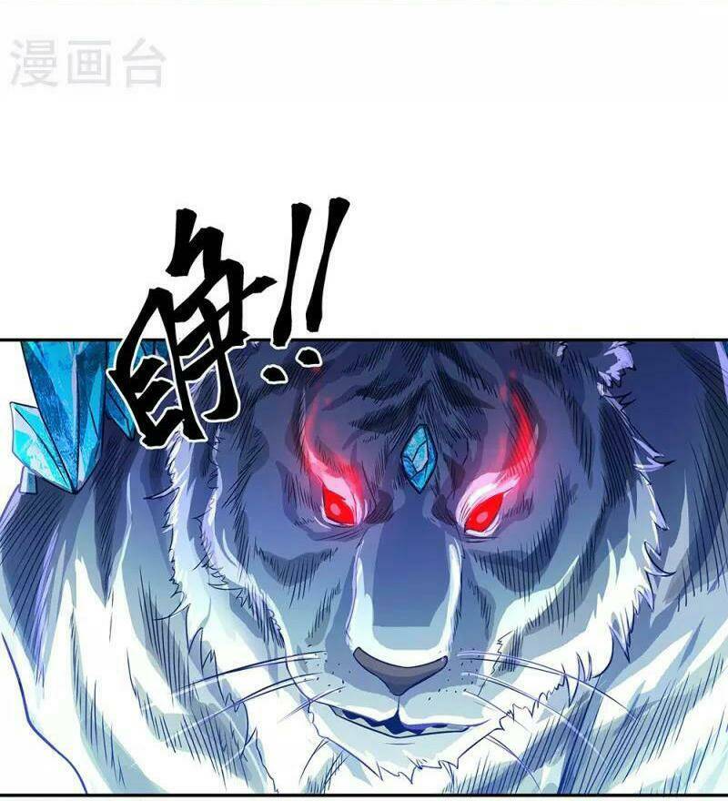 Chapter 323