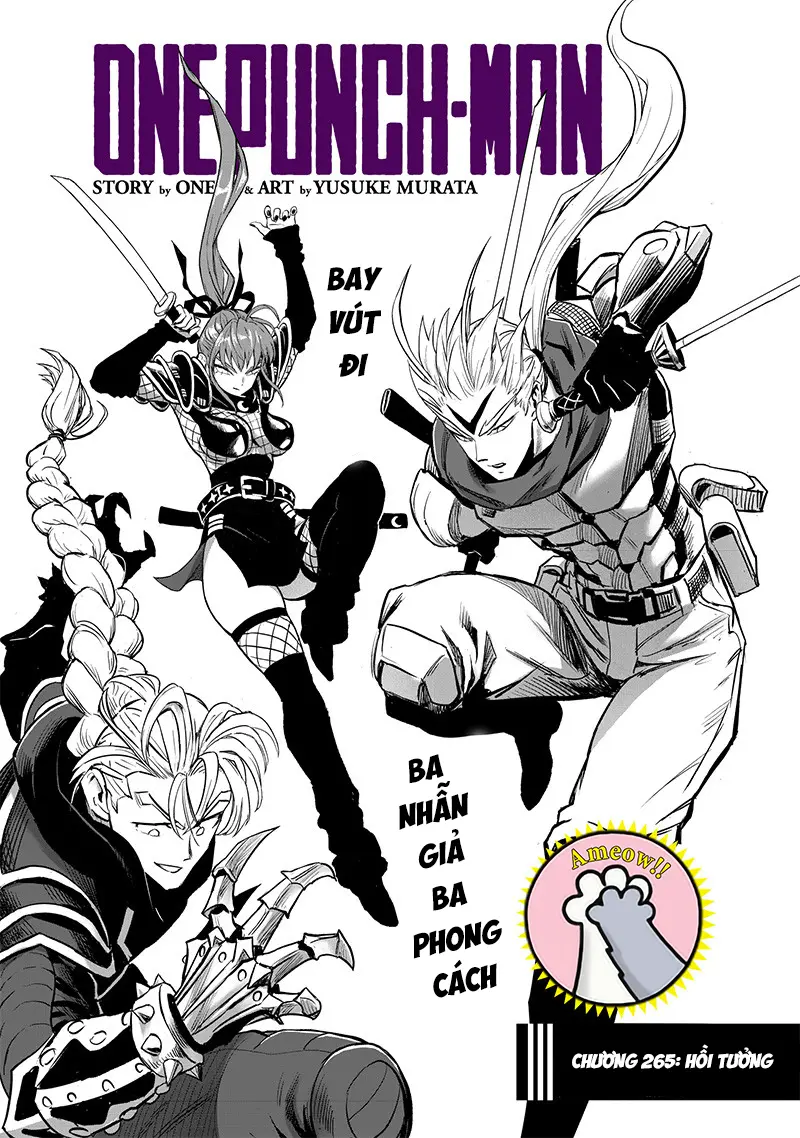 Chapter 265