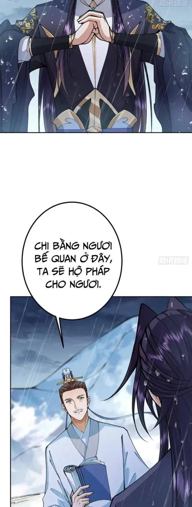 Chapter 294