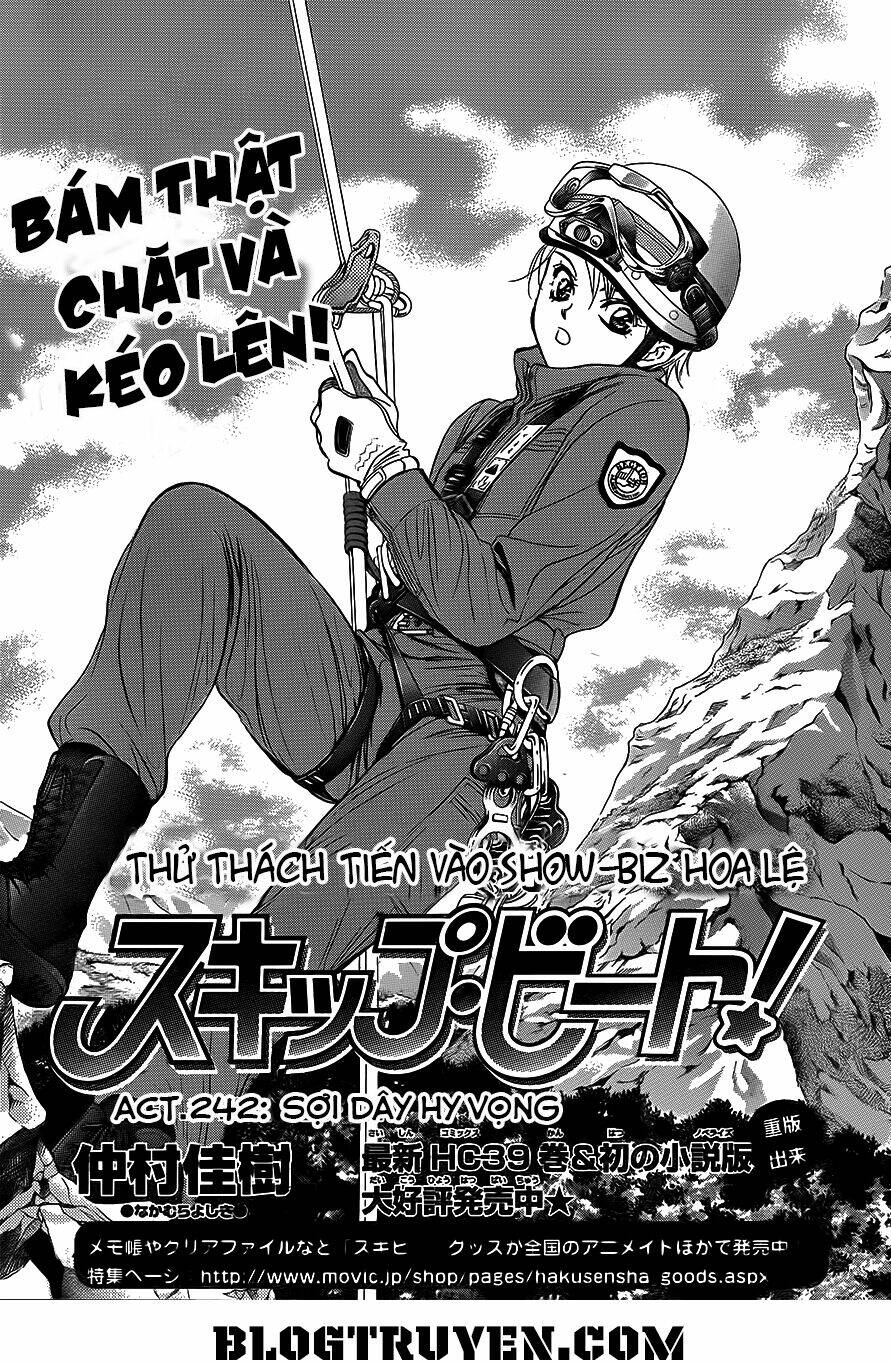 Chapter 242