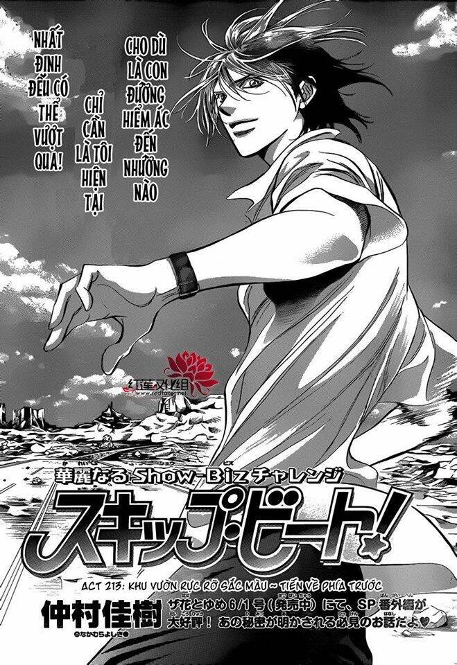 Chapter 213