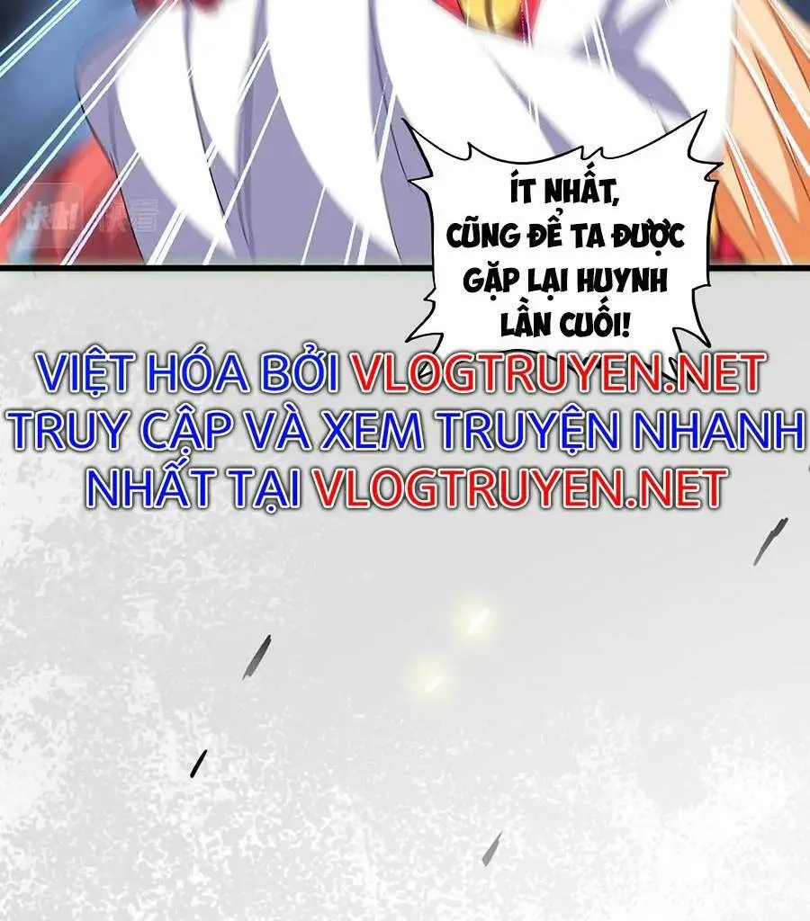 Chapter 296