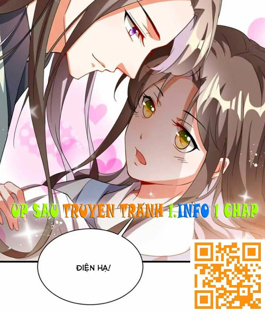 Chapter 48