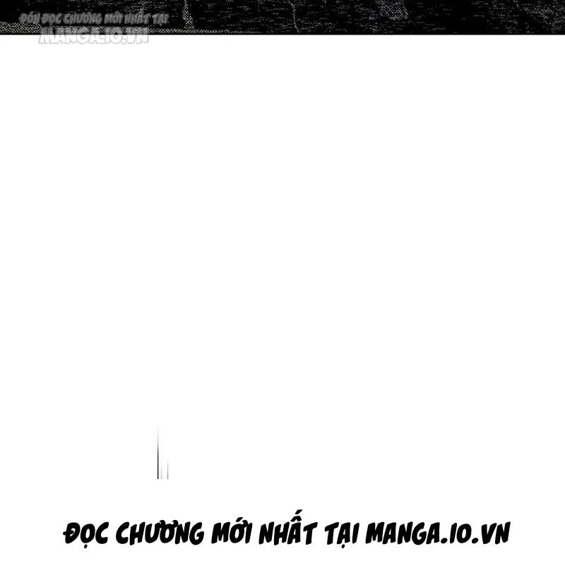 Chapter 285