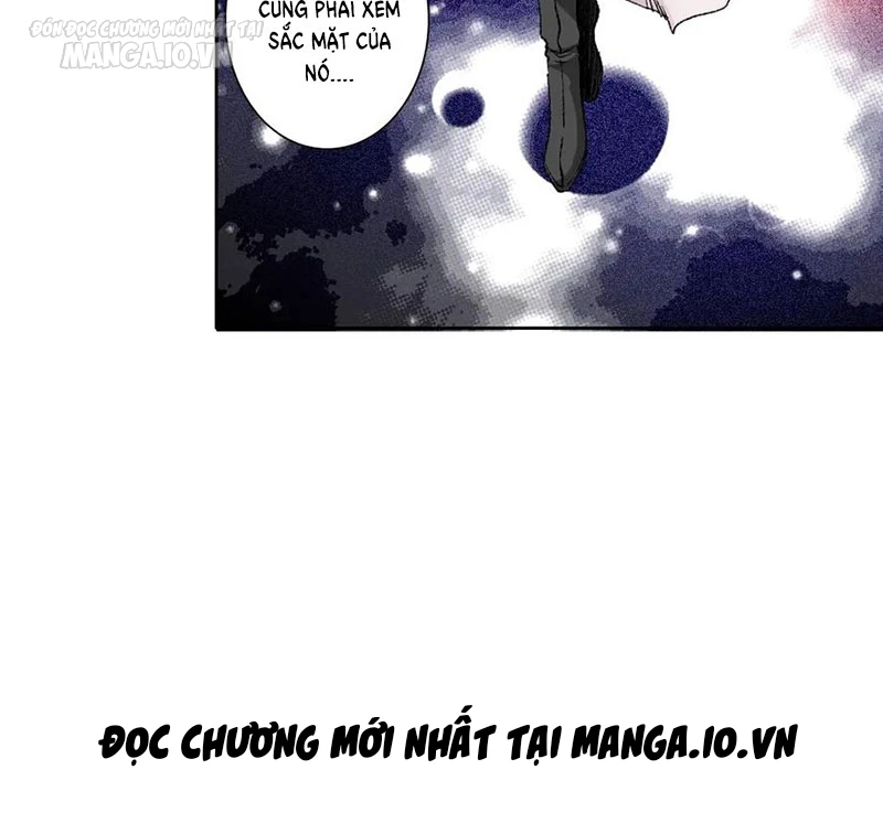 Chapter 282