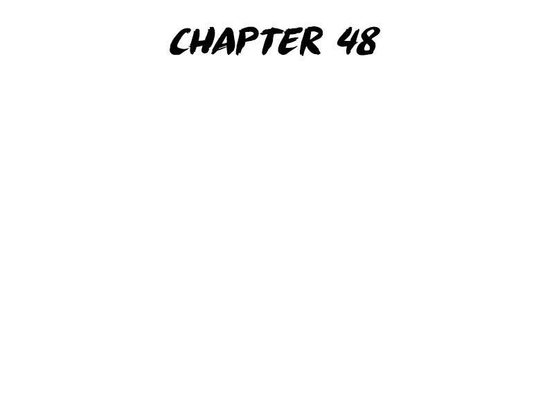 Chapter 48