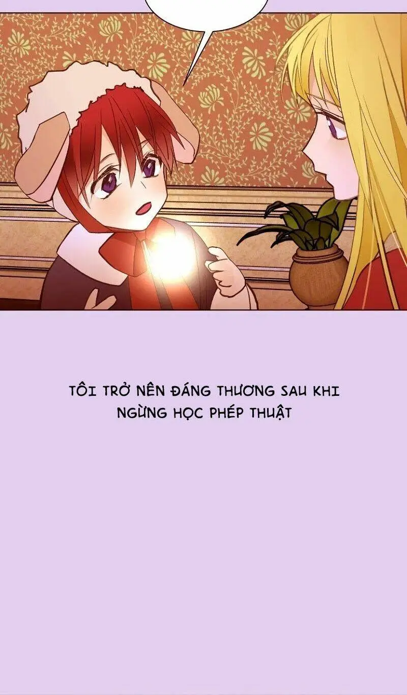 Chapter 49