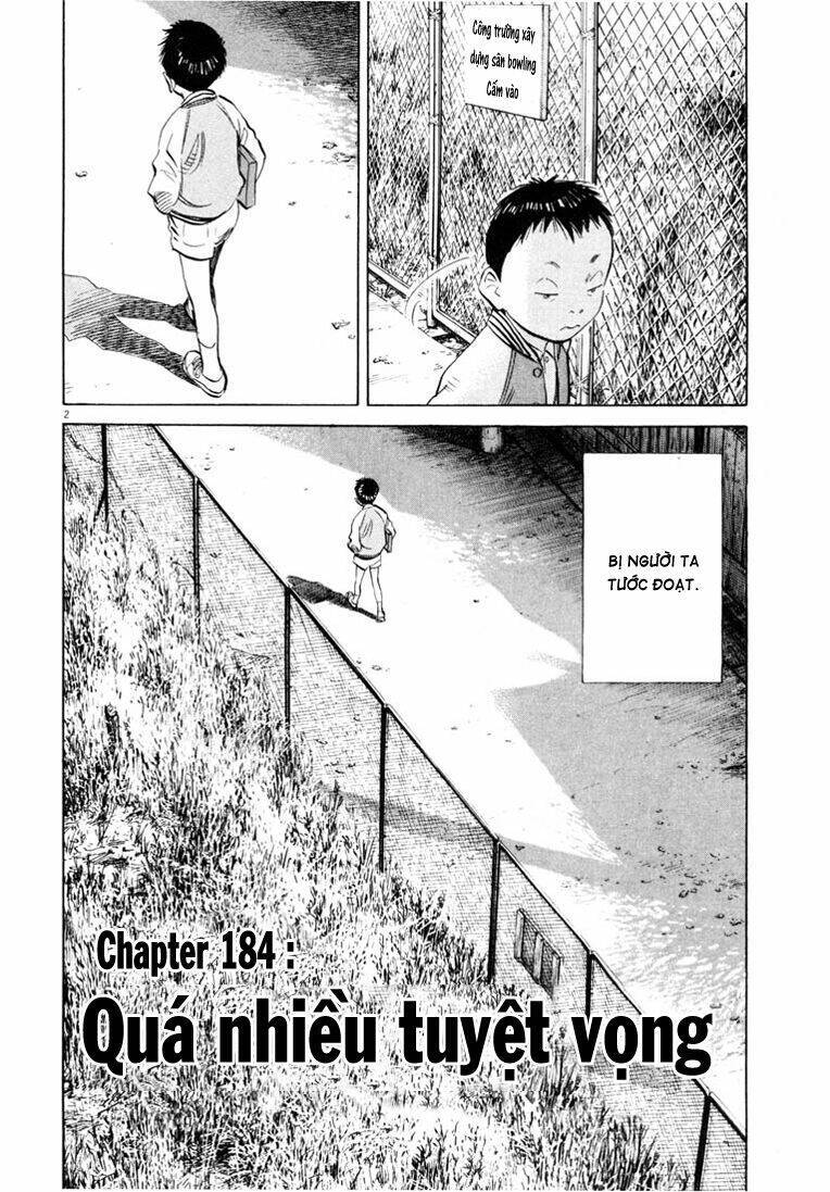 Chapter 184