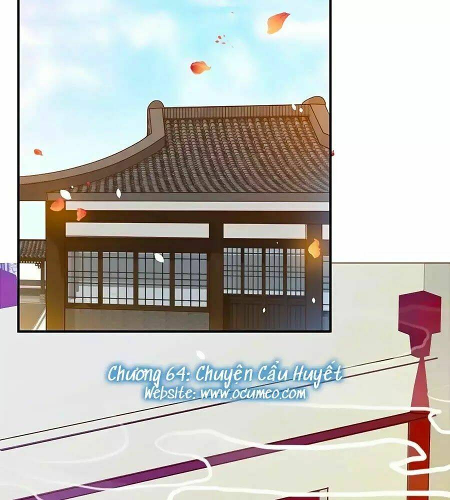 Chapter 64