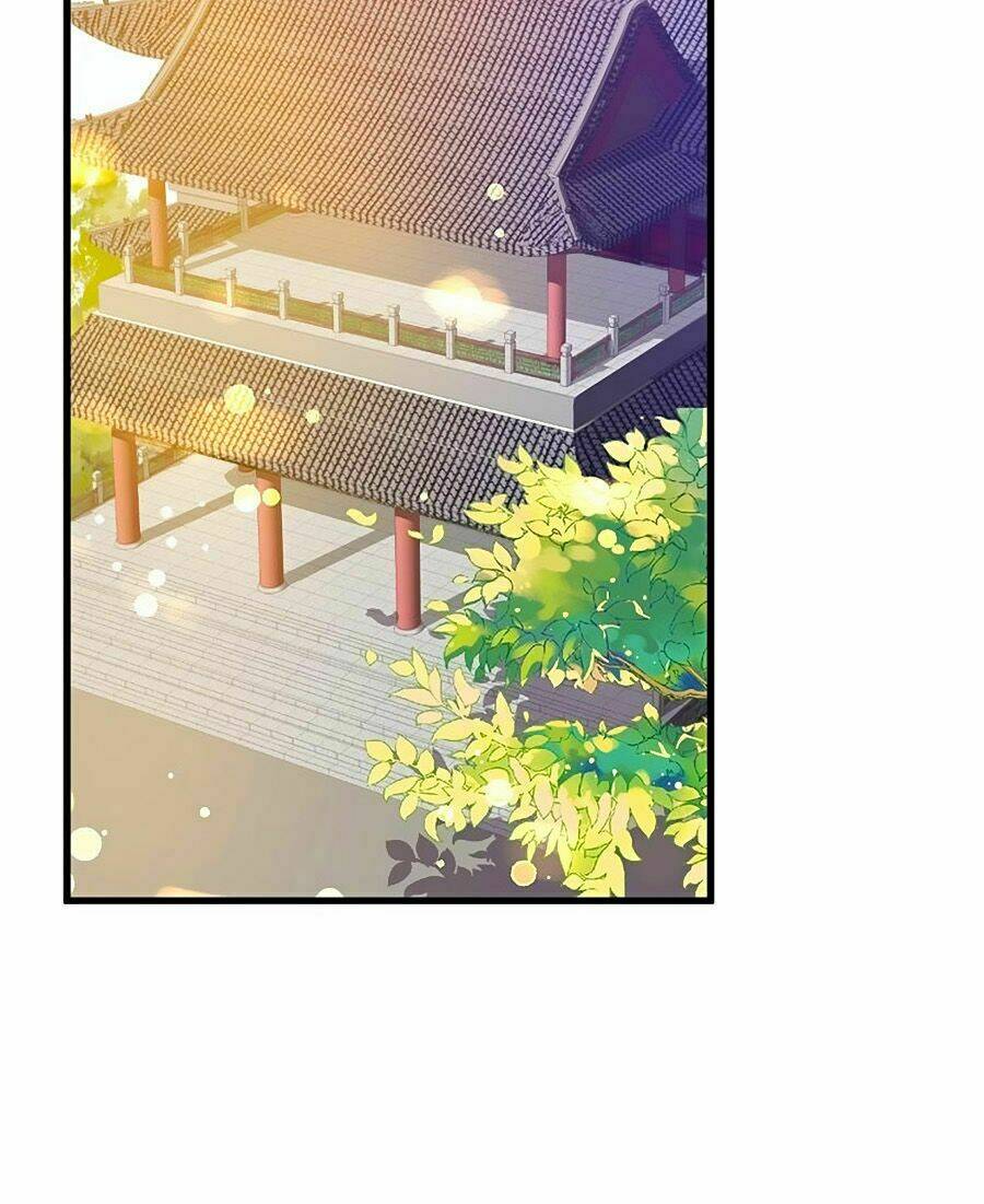 Chapter 41