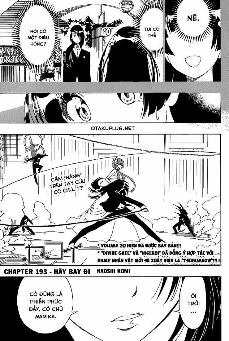 Chapter 193