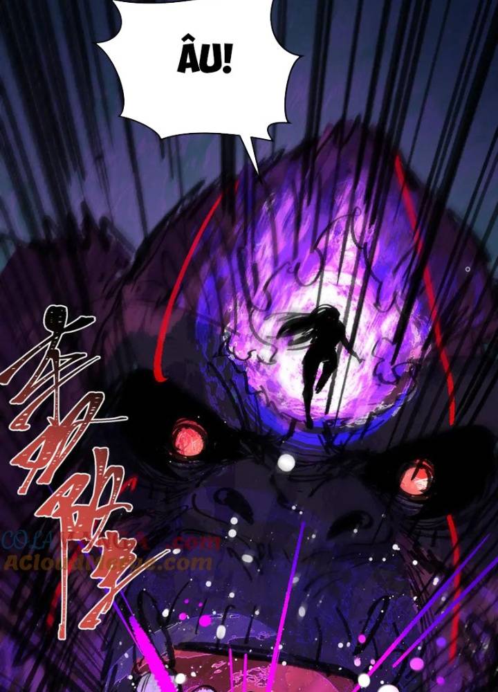 Chapter 336