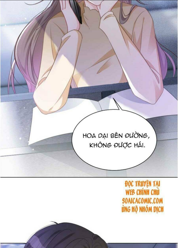 Chapter 48