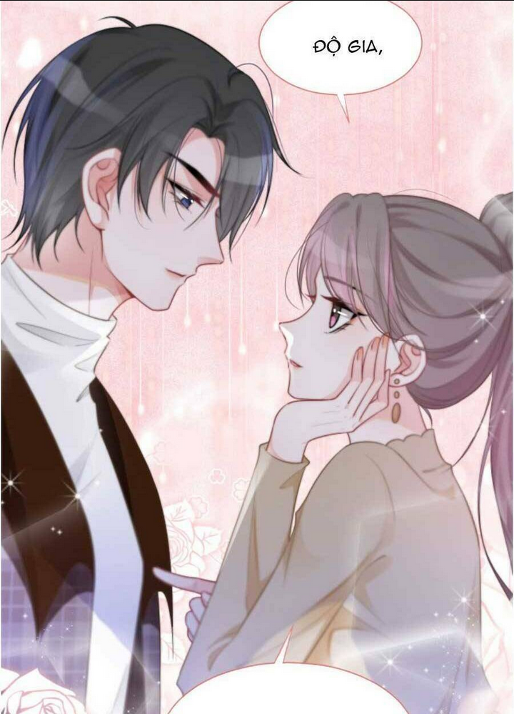 Chapter 48