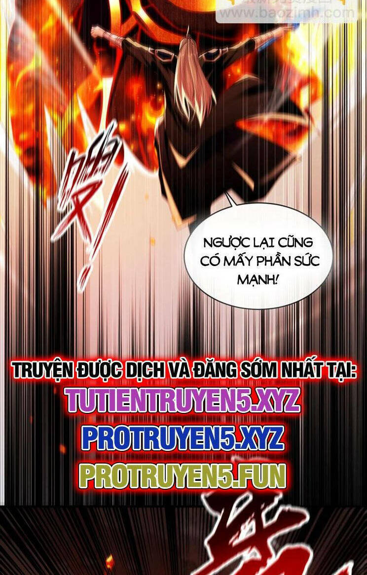 Chapter 272