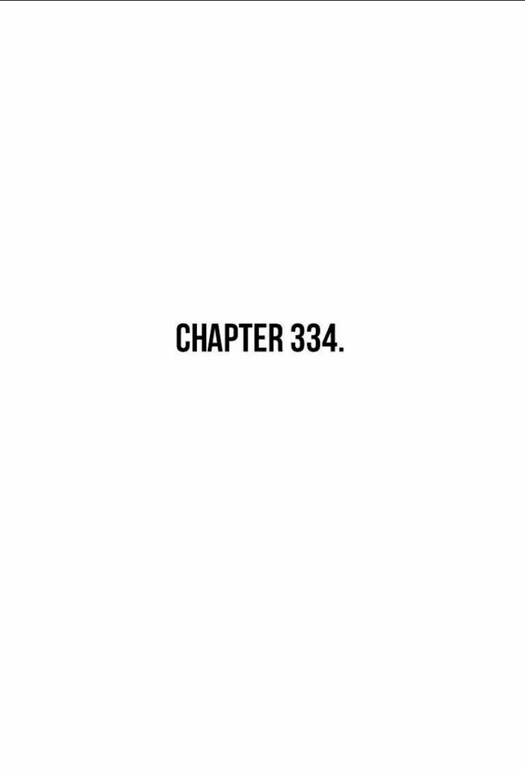 Chapter 334