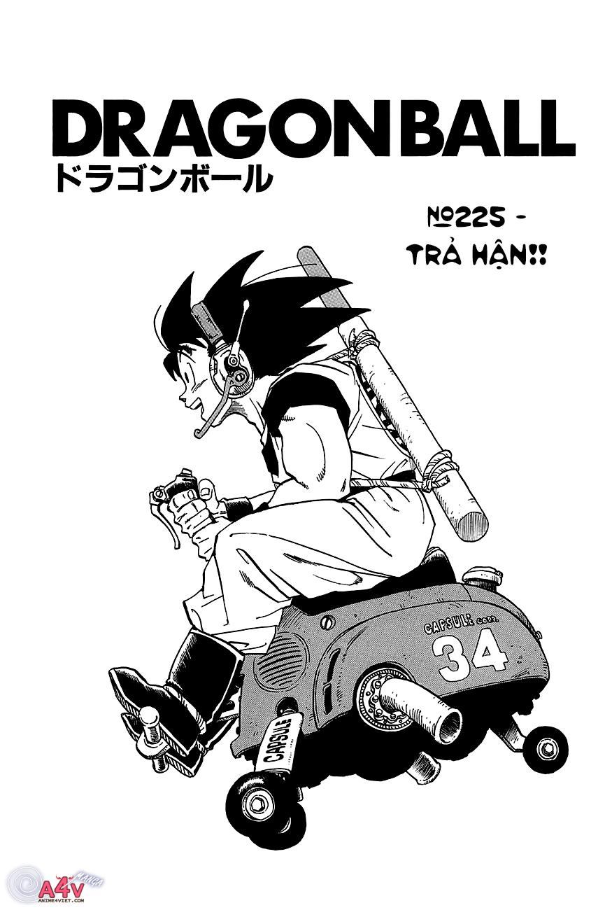 Chapter 225