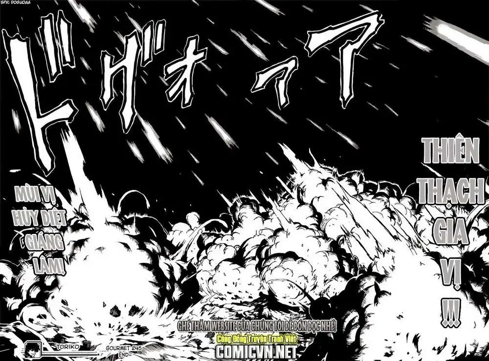 Chapter 245