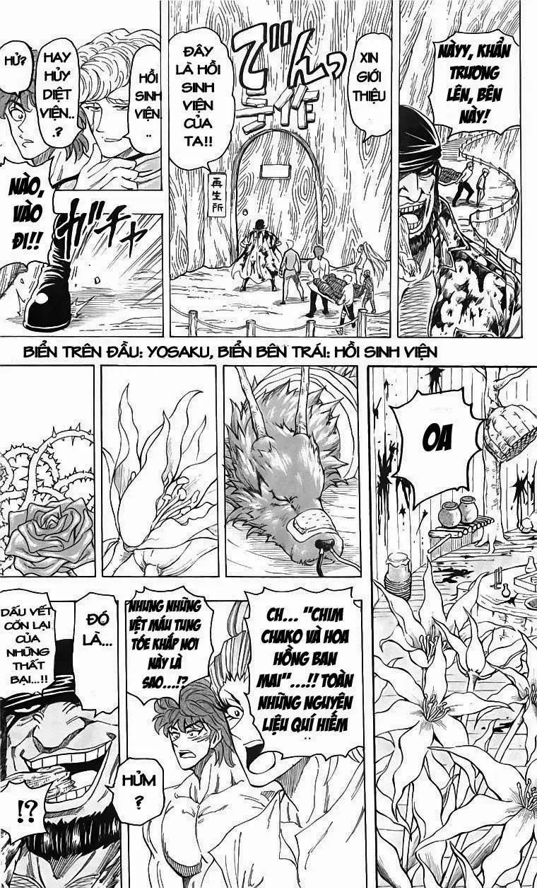 Chapter 95