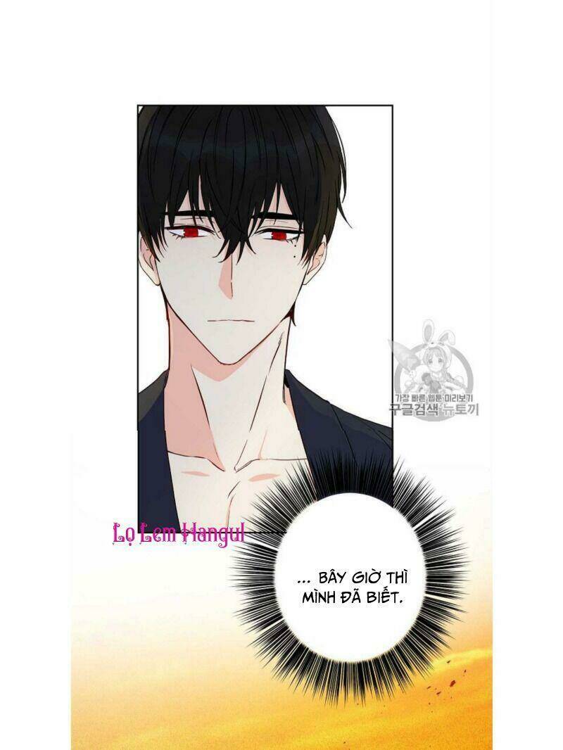 Chapter 48