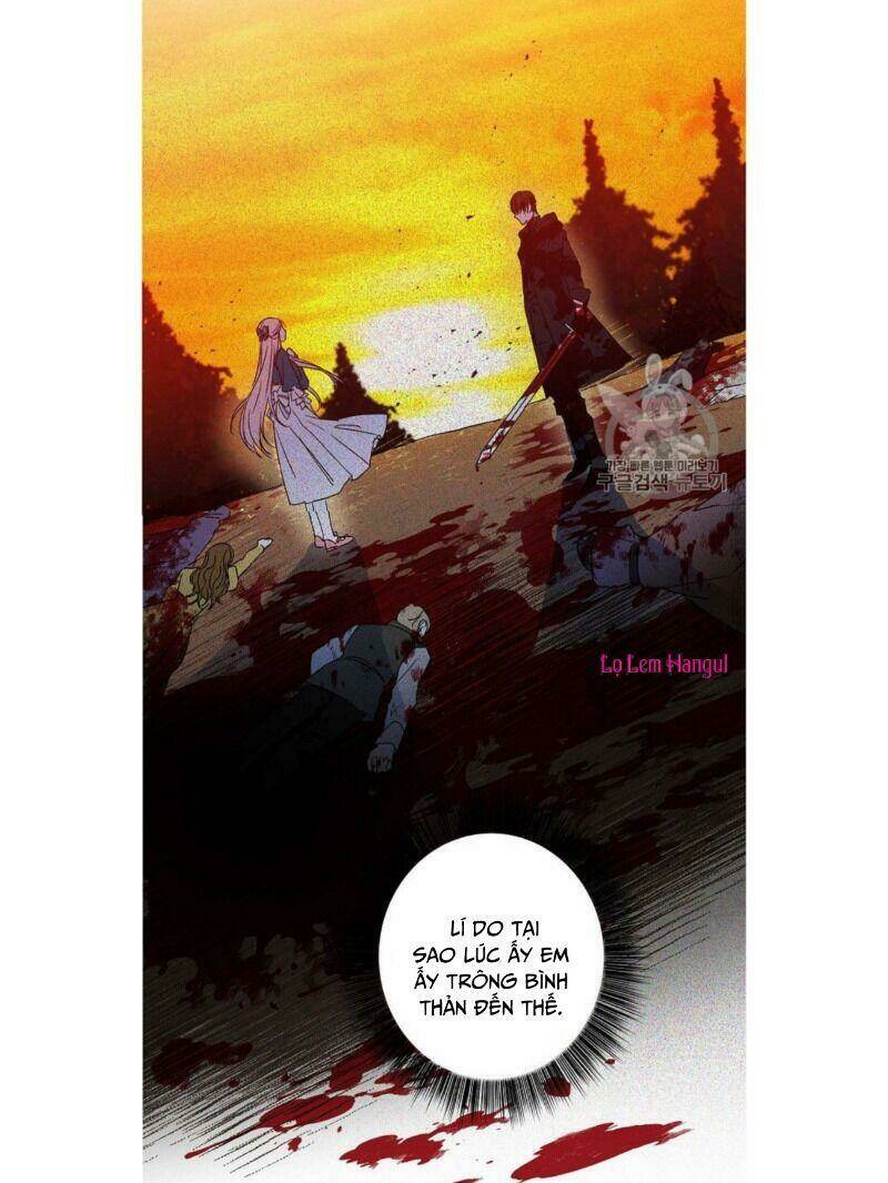 Chapter 48