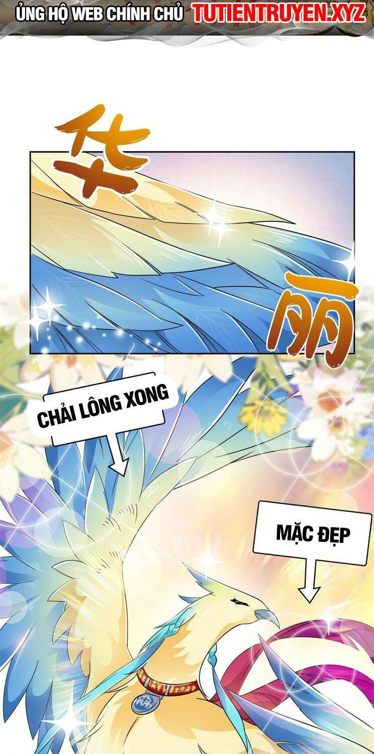 Chapter 212