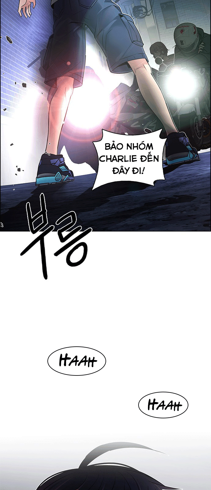 Chapter 203