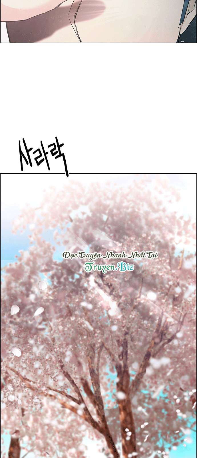 Chapter 181