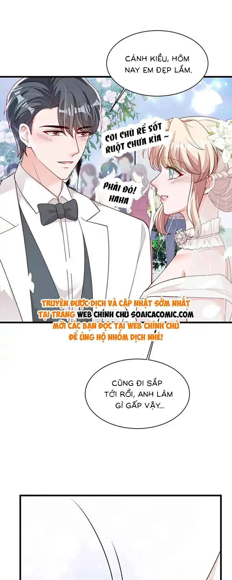 Chapter 223