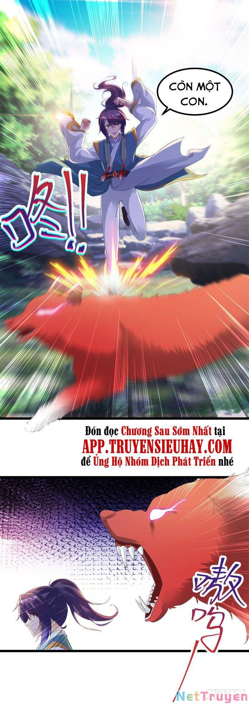 Chapter 117