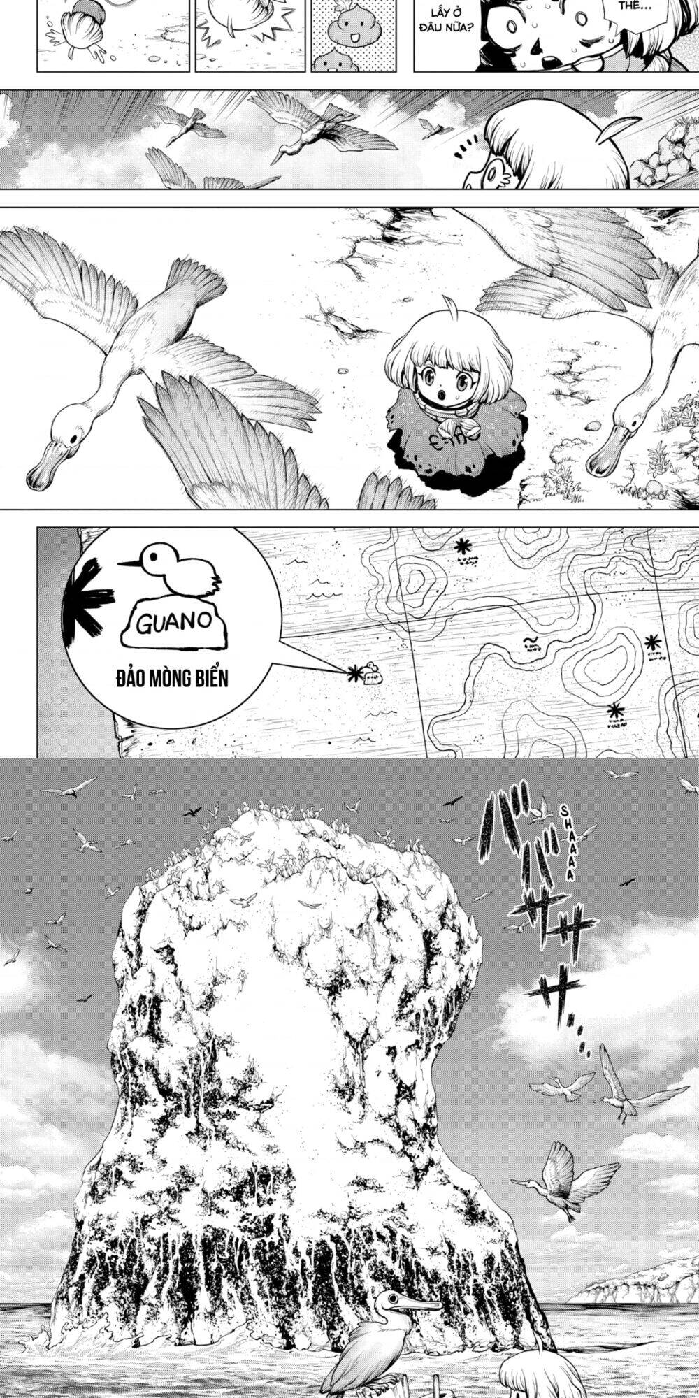 Chapter 196