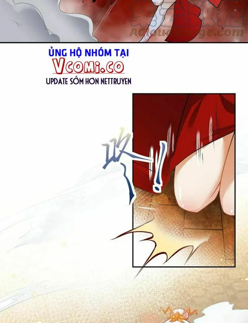 Chapter 496