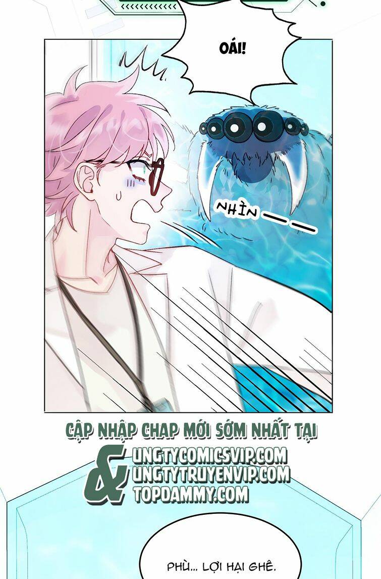 Chapter 91