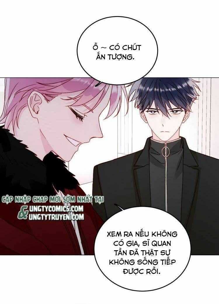 Chapter 48