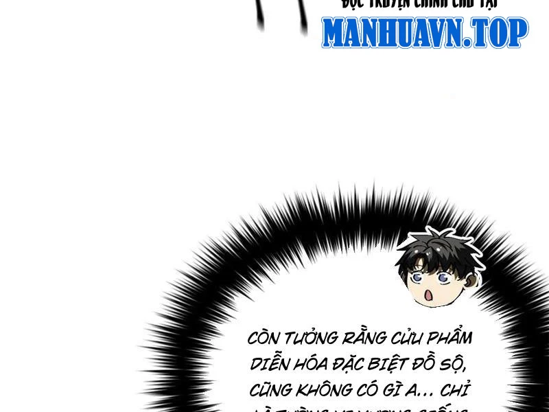 Chapter 271