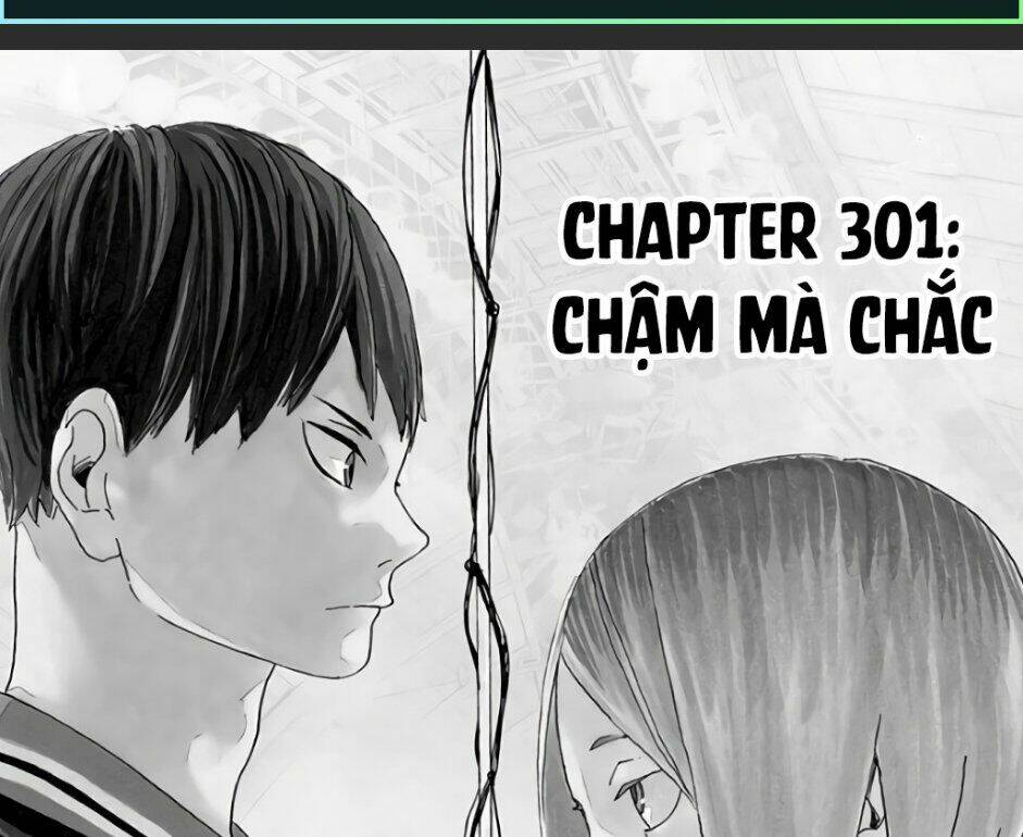 Chapter 301