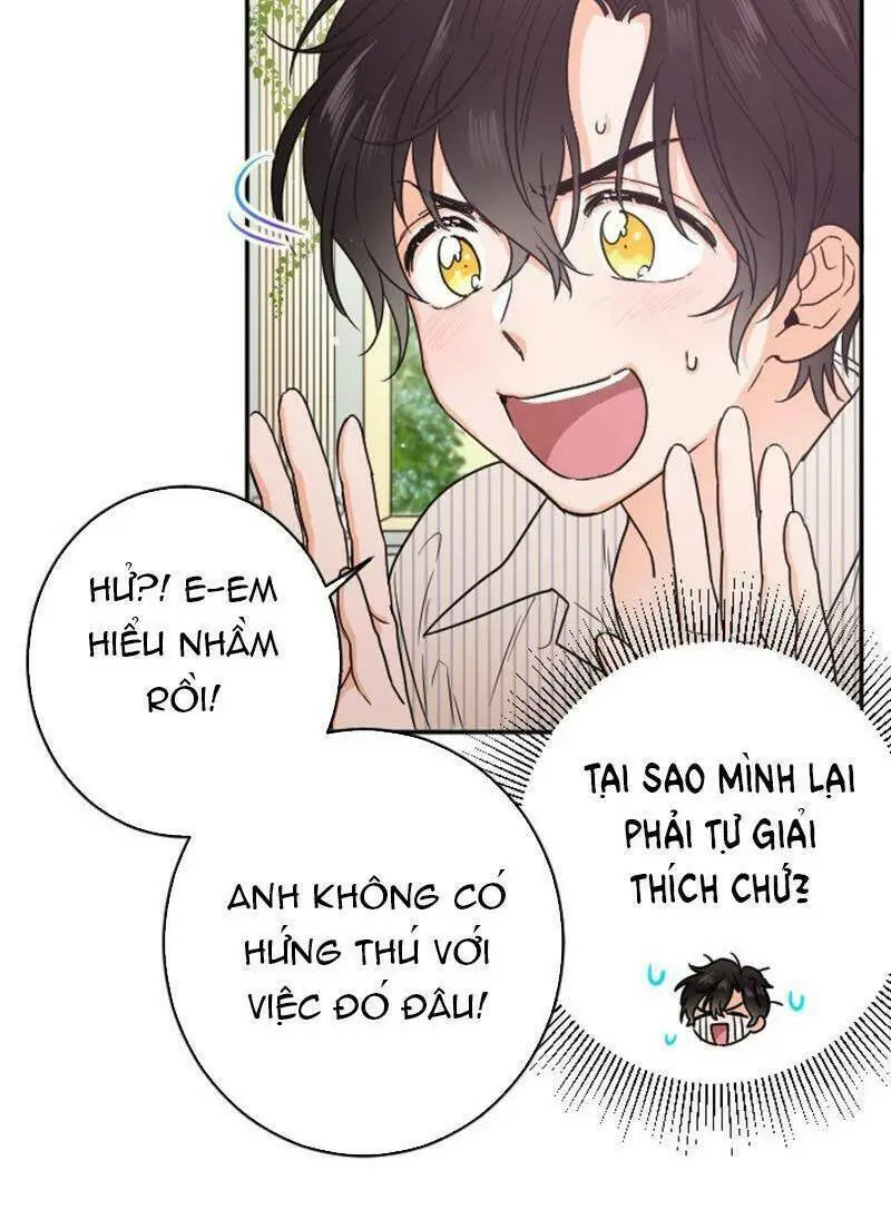 Chapter 52