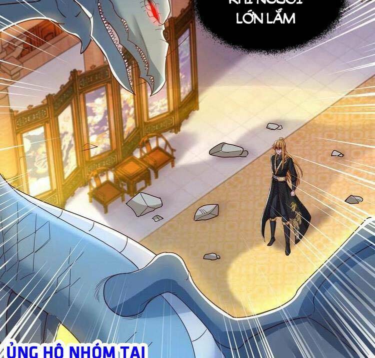 Chapter 94