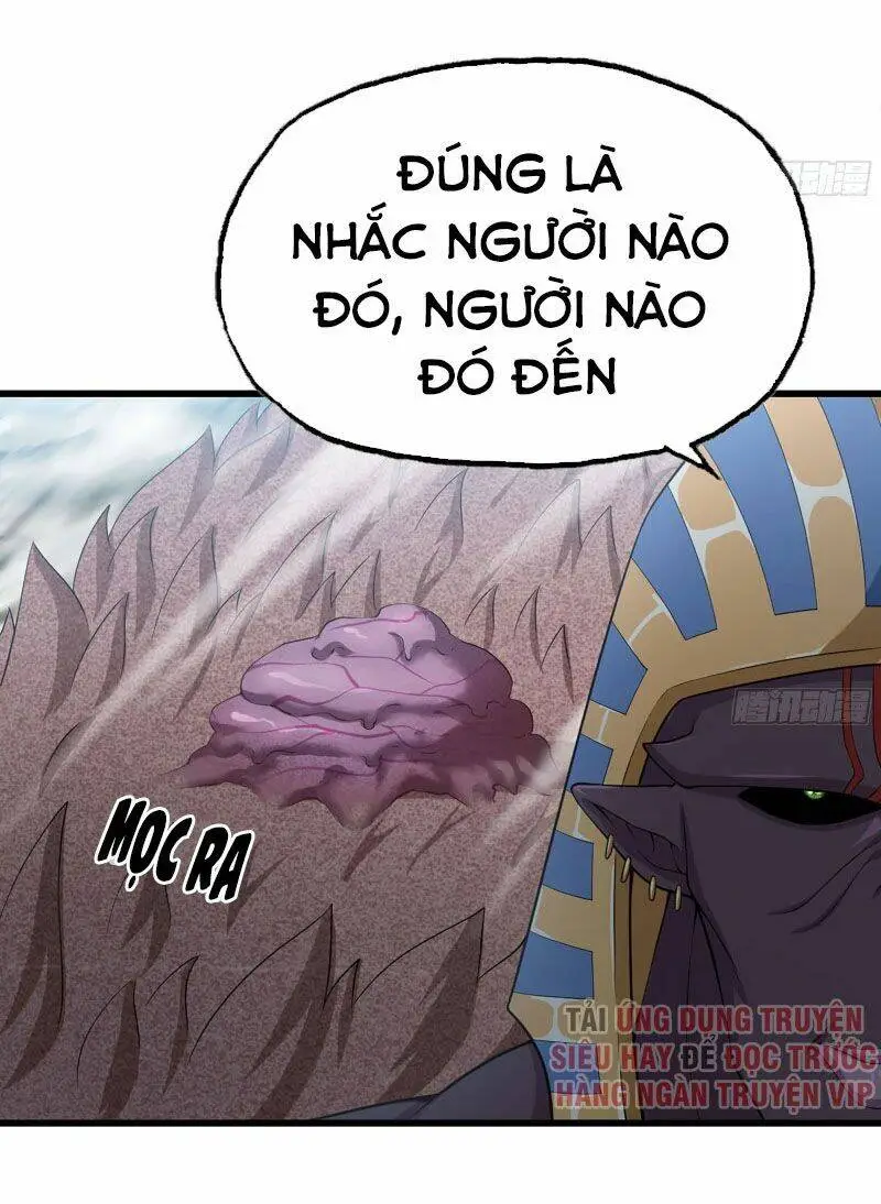 Chapter 242