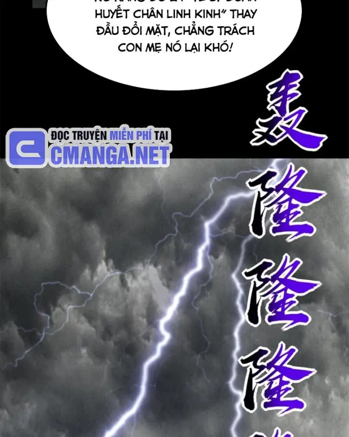 Chapter 281