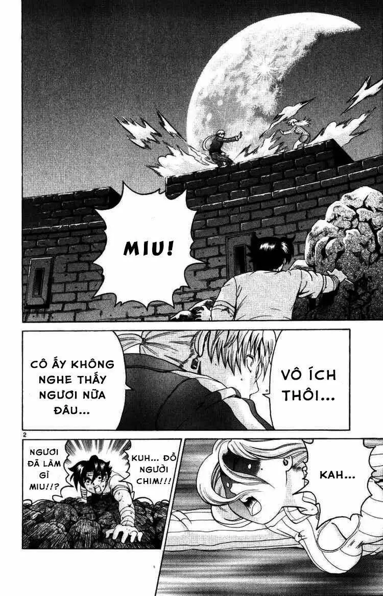 Chapter 223