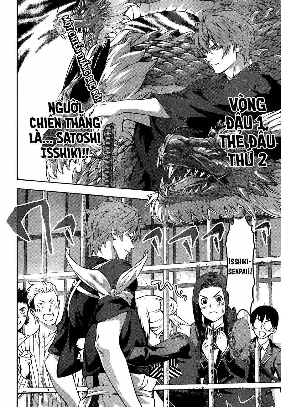 Chapter 217