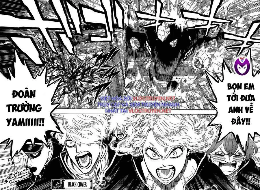 Chapter 311