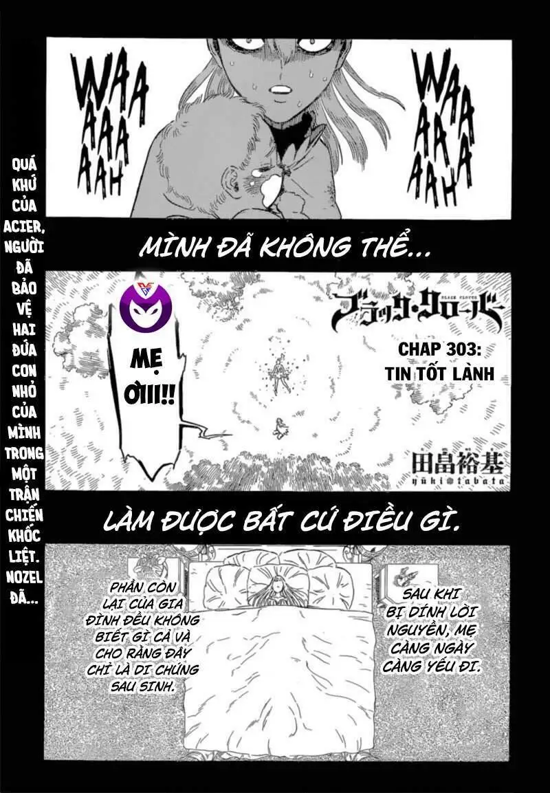 Chapter 303