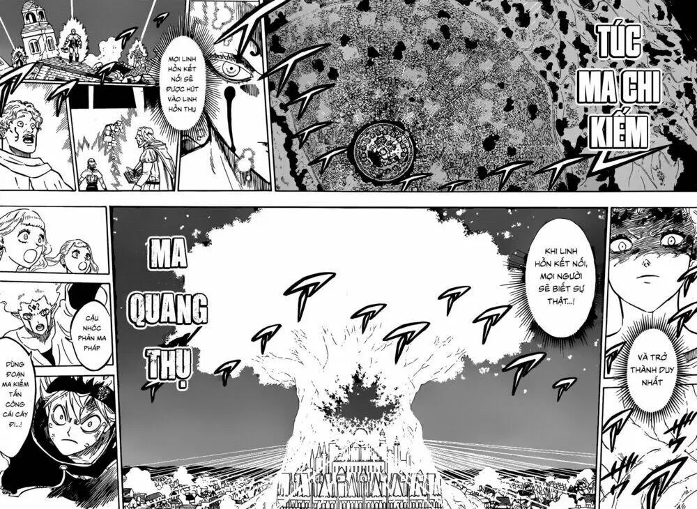 Chapter 213