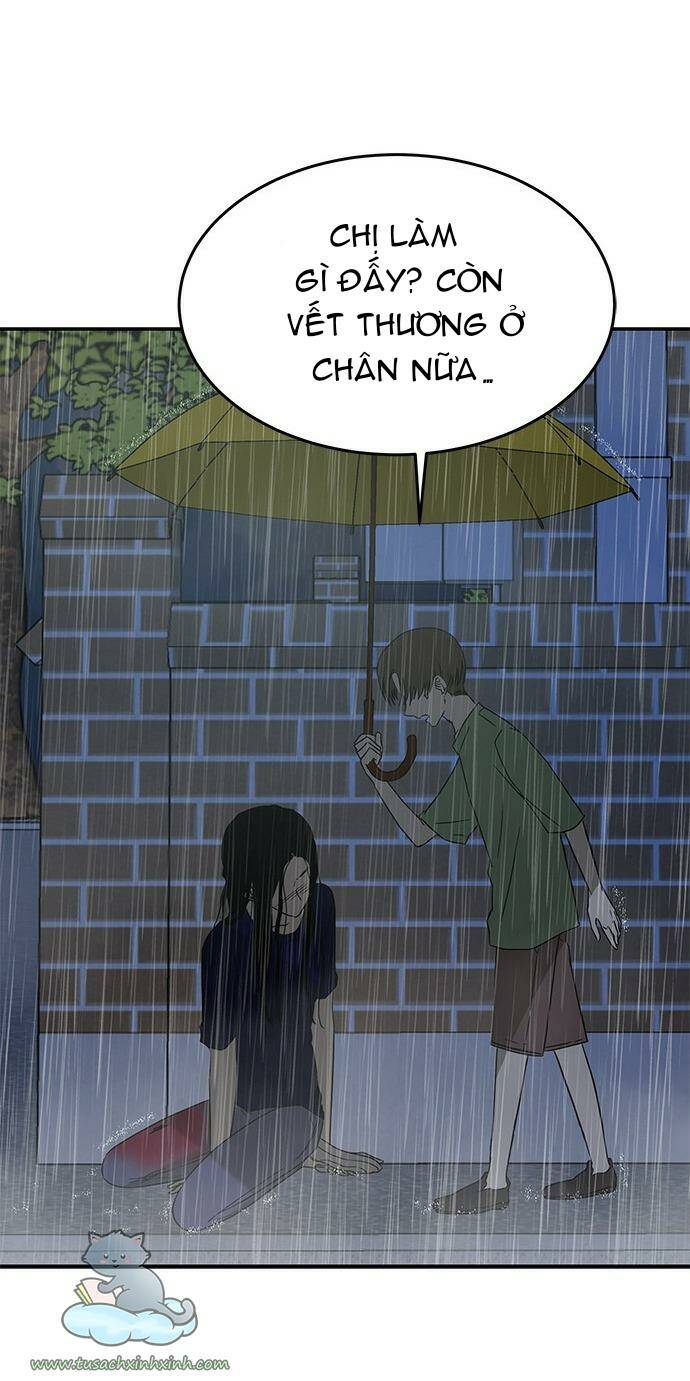 Chapter 51