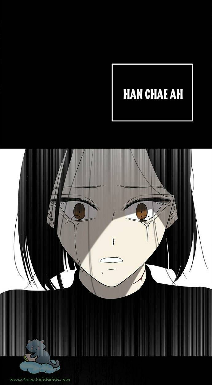 Chapter 51