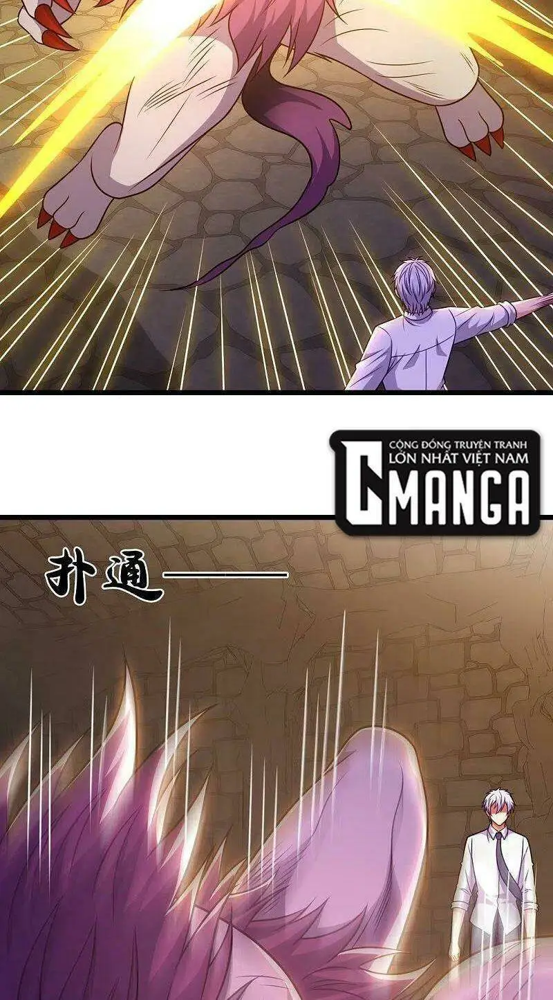 Chapter 315