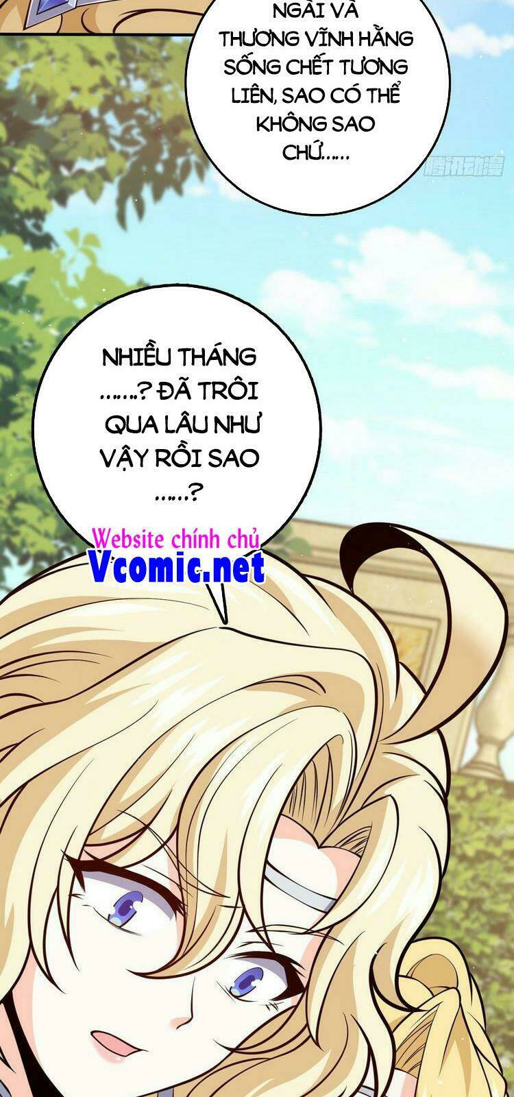 Chapter 355