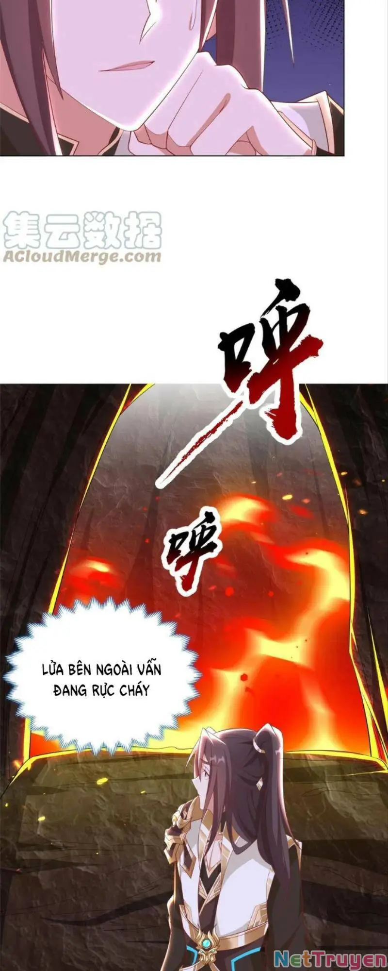 Chapter 244